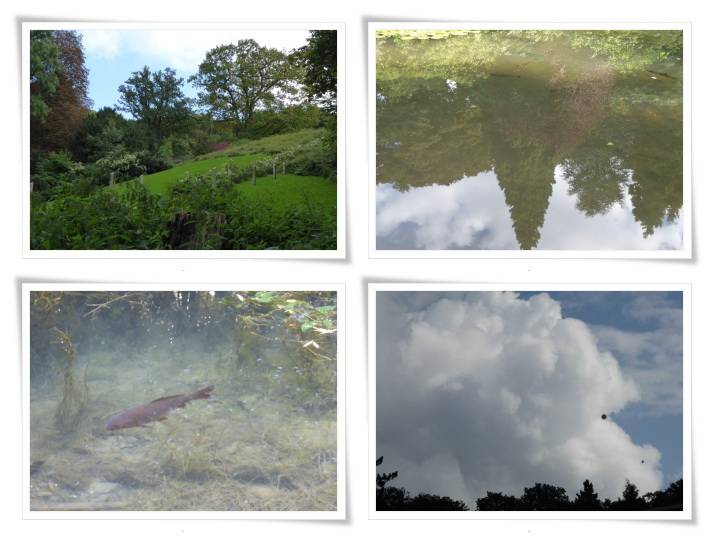 Die Barmer Anlagen sind immer einen Besuch wert, findet Gabriele...