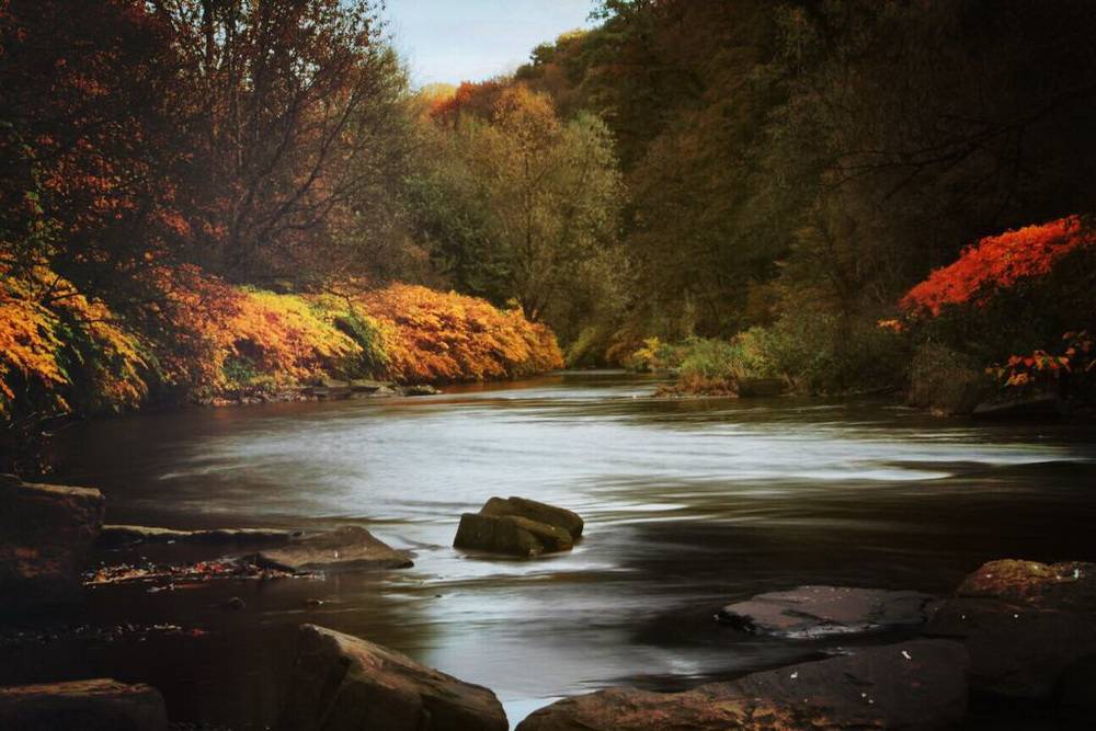 Leser-Fotos: Farbenfroher Herbst