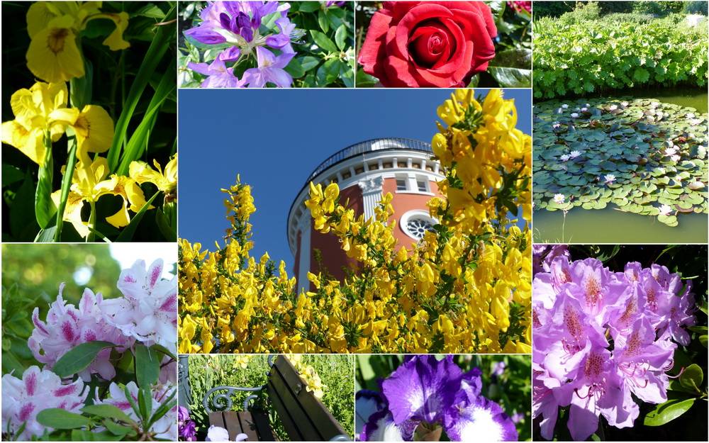 Besuch im Botanischen Garten: „Die Ruhe und der Duft von Tausenden Blüten und...