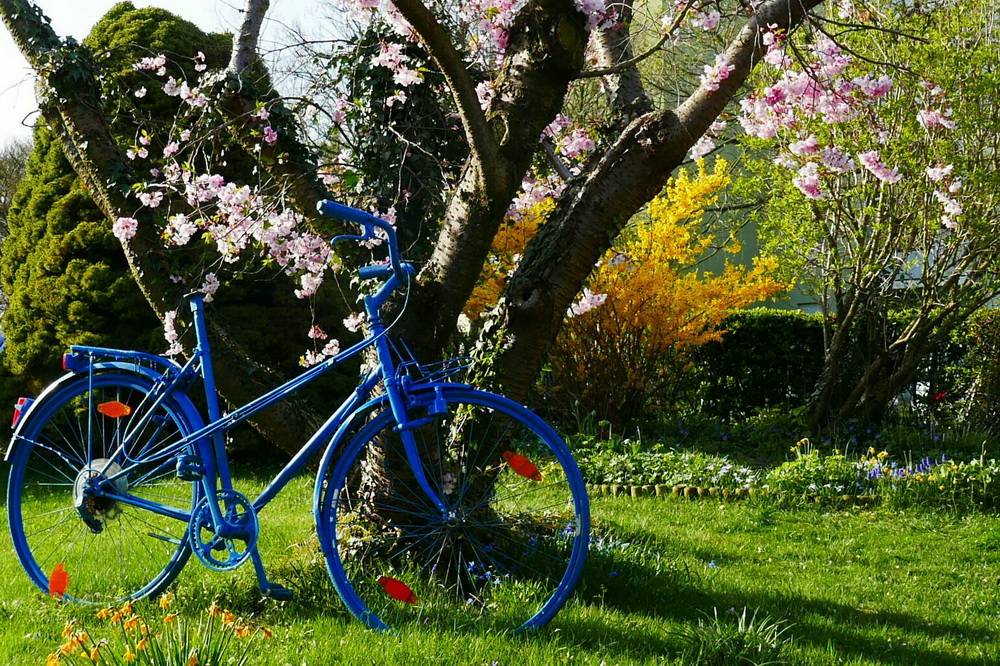 Leser-Fotos: Frühlingsbilder