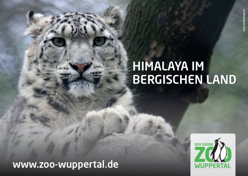  Fast eine Autogrammkarte ... 