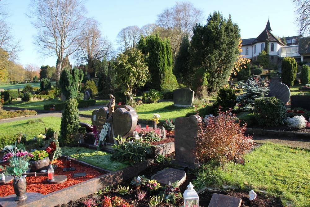 Die Reißleine gezogen