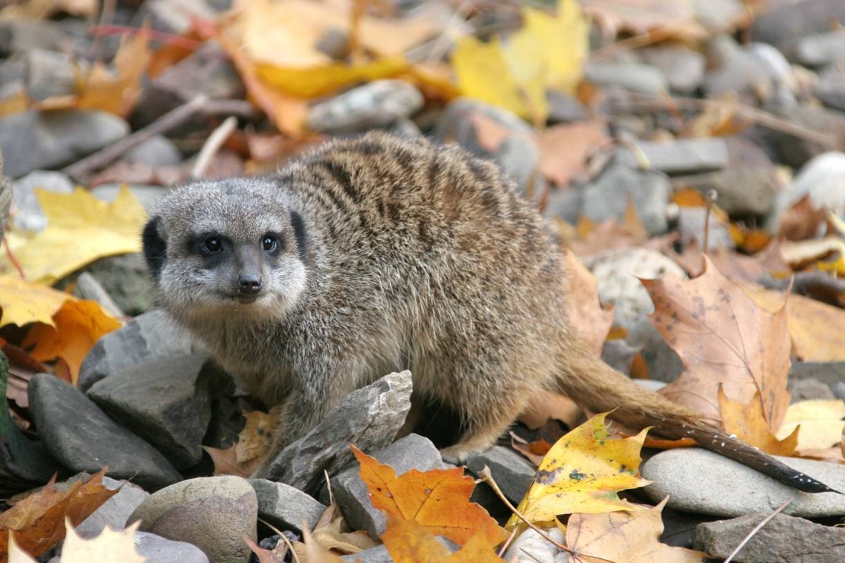 Blick hinter die Kulissen