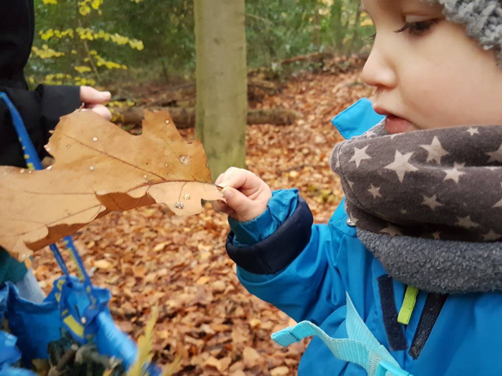 Natur pur am "Elfentor"