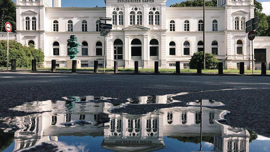 Ich mag es mit Reflexionen zu spielen und so eine neue Sicht auf alltägliche Dinge zu...