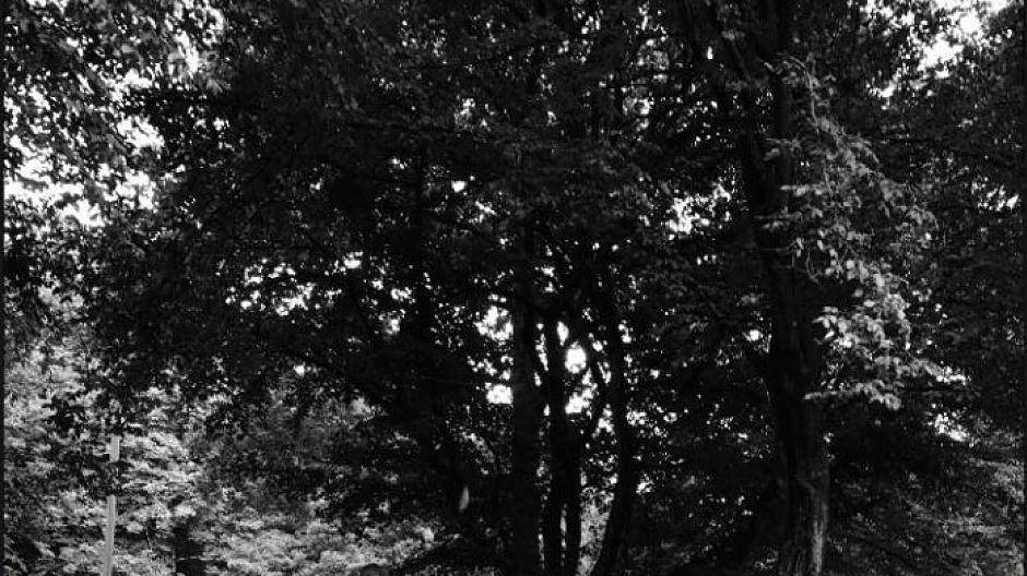 Schon Tag 2 ••• Ich finde, viele versuchen nur das Große und Ganze von Wuppertal...