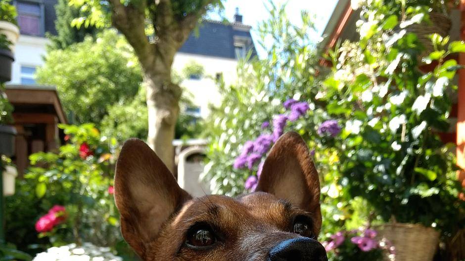 Da inzwischen schon so ziemlich jeder bekannte Ort in Wuppertal bei diesem Projekt...