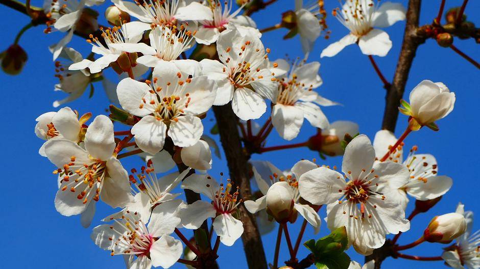 Natur pur in Wuppertal