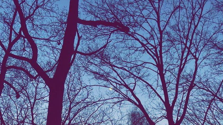 Nature's way to say...