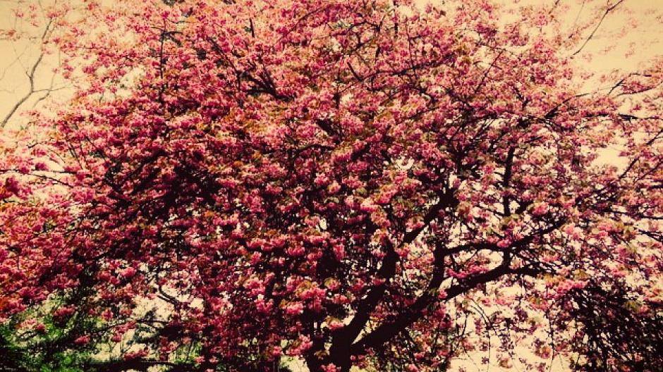 Nature's beauty though...♥️&lt;br /&gt;Auch bei schlechtem Wetter können tolle...