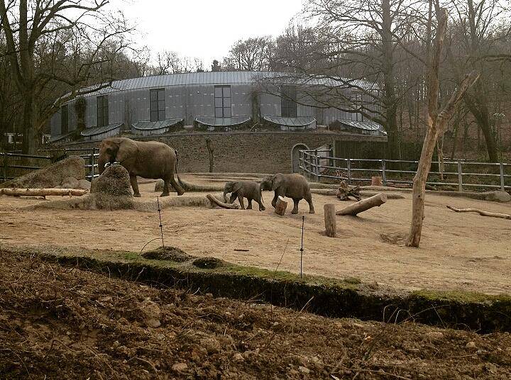 Was wäre Wuppertal ohne den Wuppertaler Zoo! Mein besonderes Highlight sind meine...
