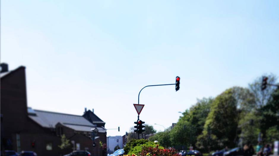 Trotz Straßenkreuzung eine blumige Aussicht. Da ist der Stau doch direkt...
