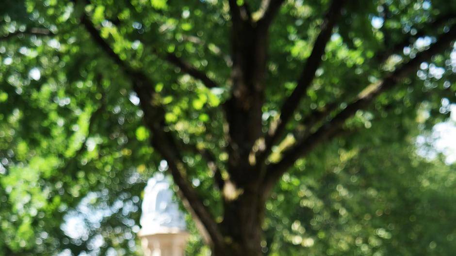 Verliebt, verlobt, VERWÜNSCHT! Auch Wuppertal ist märchenhaft mit unserem...