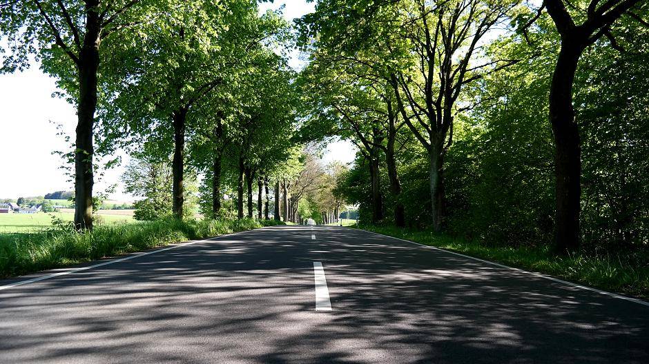 Bei diesem Anblick fühlt man sich doch gleich im Urlaub,...