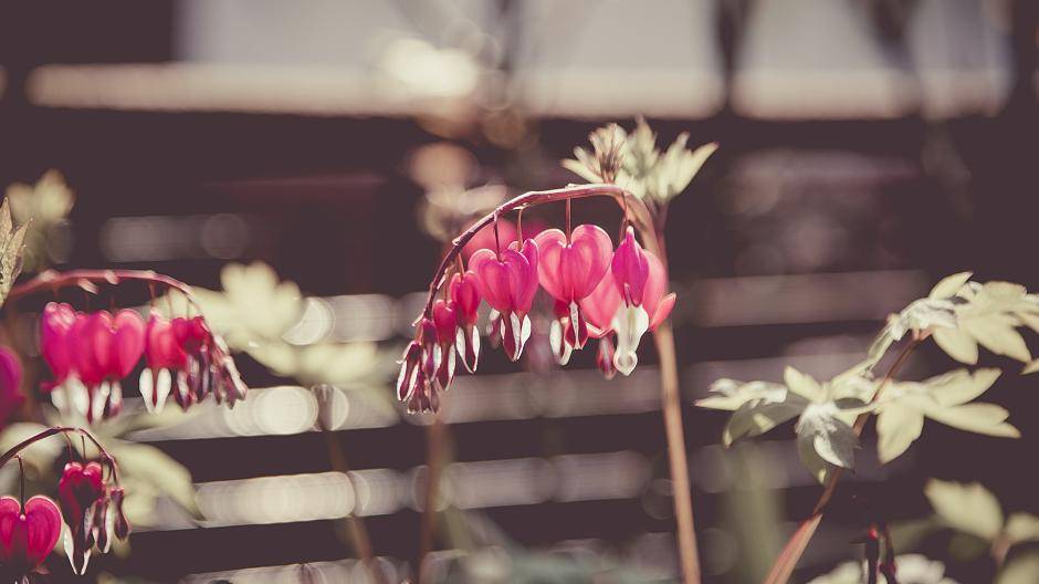 Manche schönen Dinge entdeckt man erst auf dem zweiten Blick und oft sind es die...
