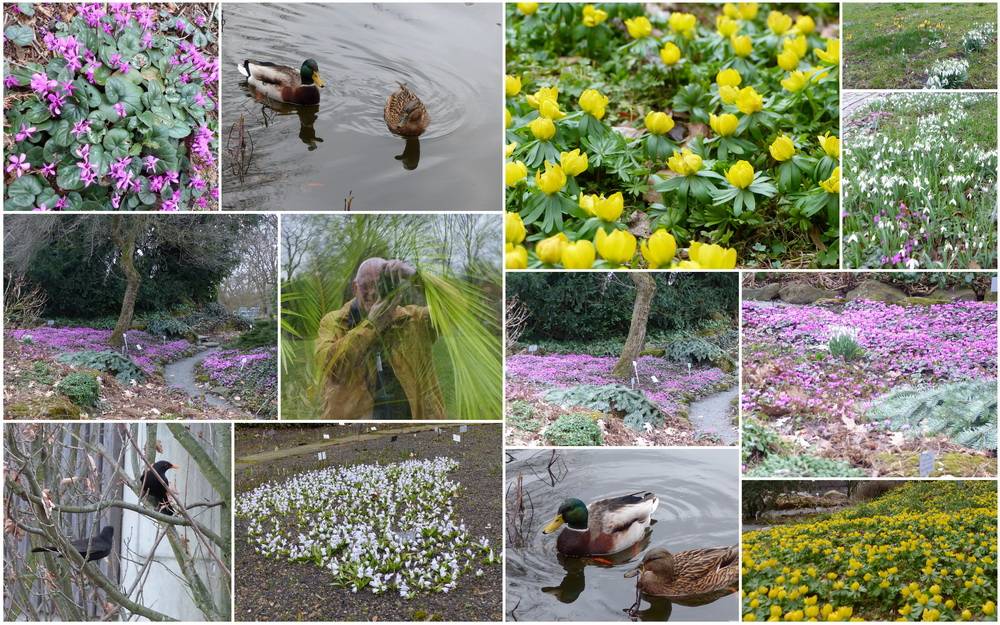 Viel los im Botanischen Garten auf der...