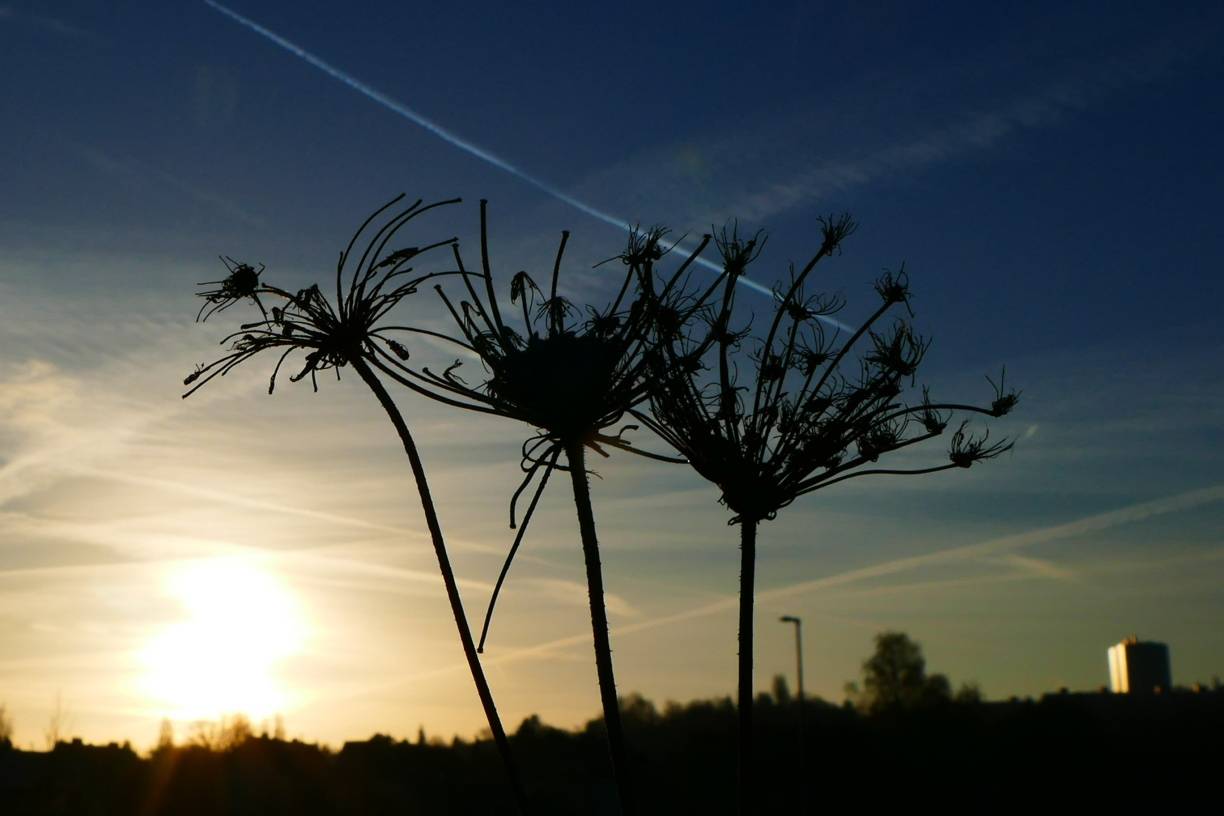 Sonnenaufgang in Wuppertals...