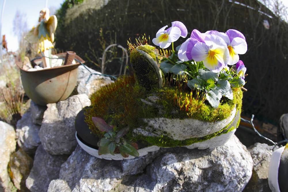 Walter Grese: "Sonntag an der Nordbahntrasse am Bahnhof Loh. Der Frühling lässt selbst...