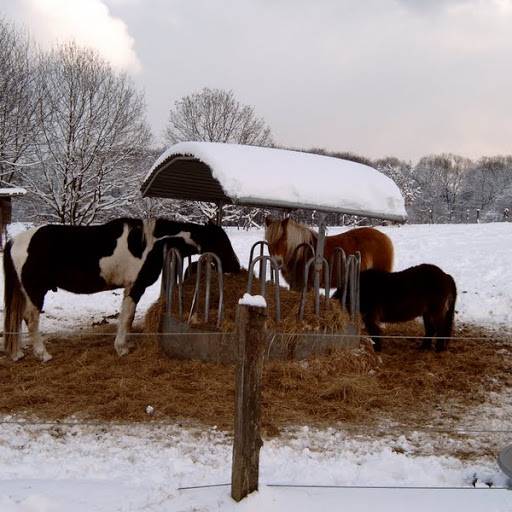 Wuppertaler Traum-Winter 2017