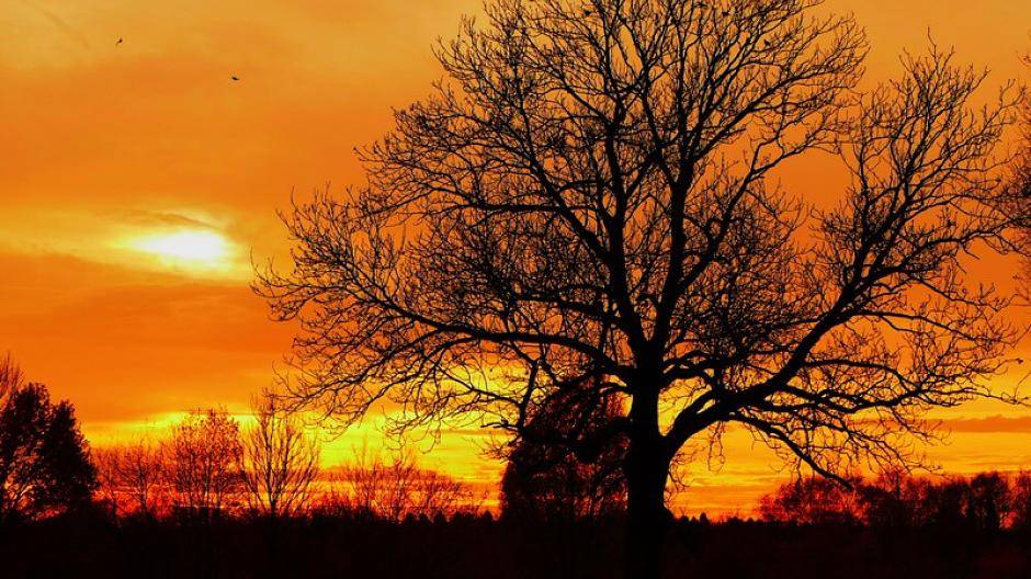 Romantik pur - Foto von Petra...