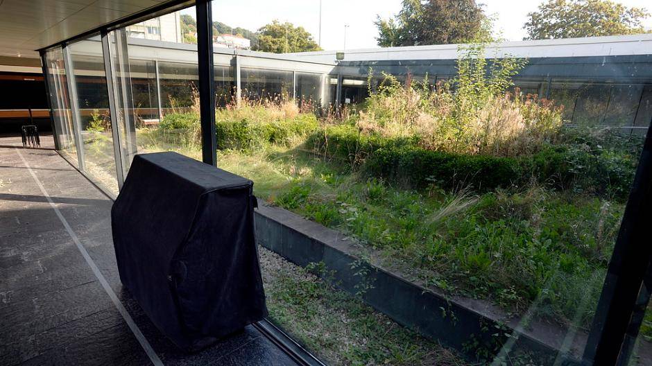 Blick ins Schauspielhaus