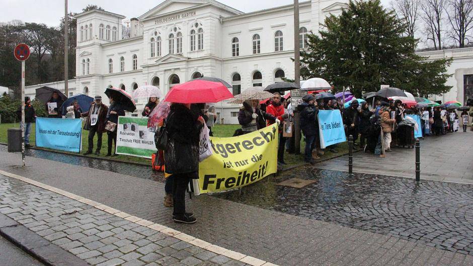 Reden und Plakate am Zoo