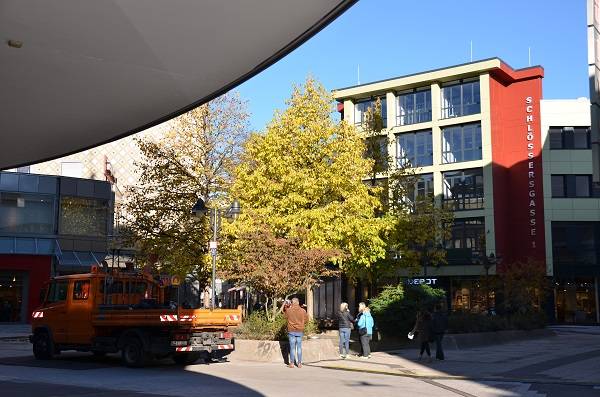 Bäume auf dem Von-der-Heydt-Platz sollen bleiben