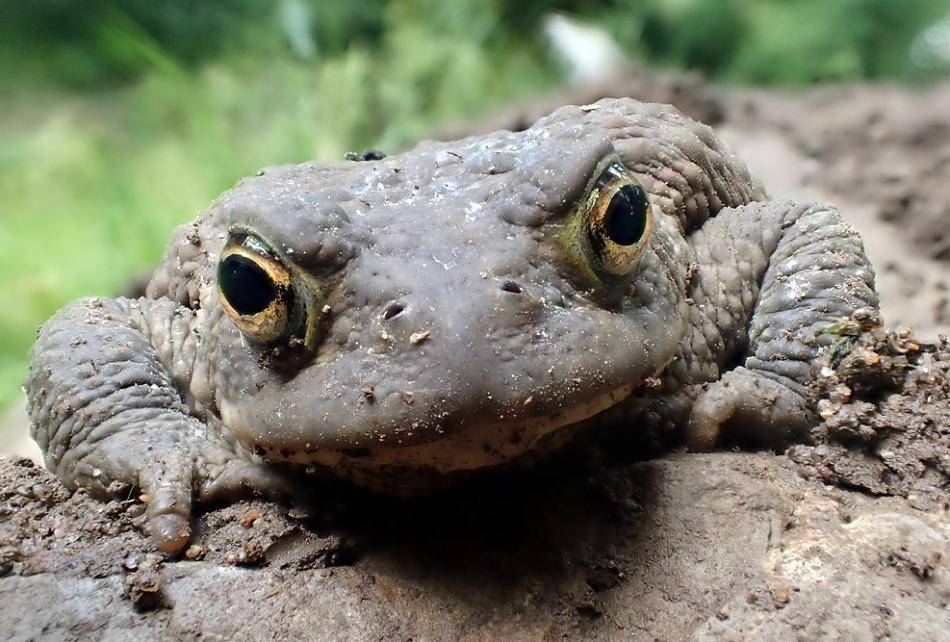  Braucht Hilfe bei der Wanderung.  
