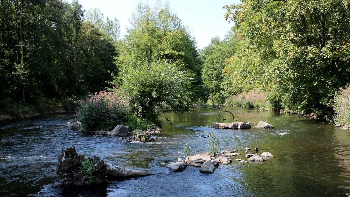 Neue Wupper-Projekte: Döppersberg und Kohlfurth