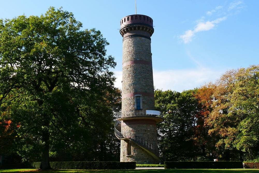 Baumschutzsatzung kommt zurück