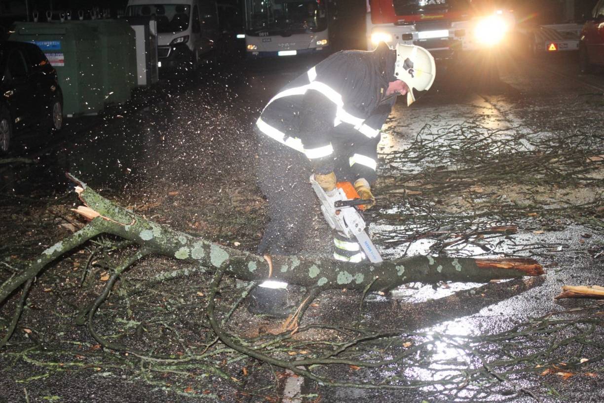Baum kippt auf Straße