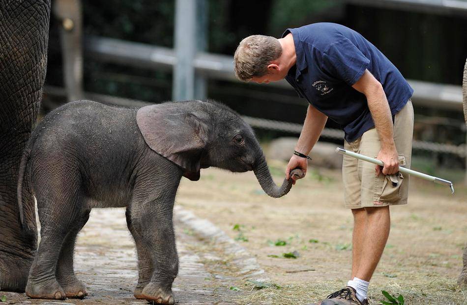PETA kündigt Protest vor Zoo an