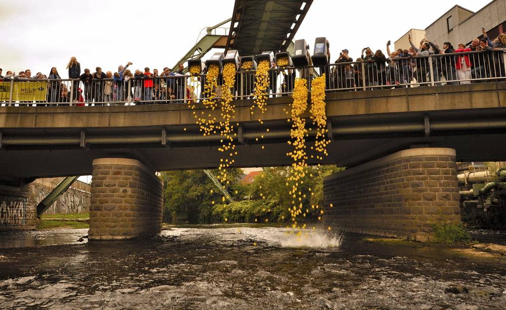  An der Junior Uni regnete es 5.000 Enten. 