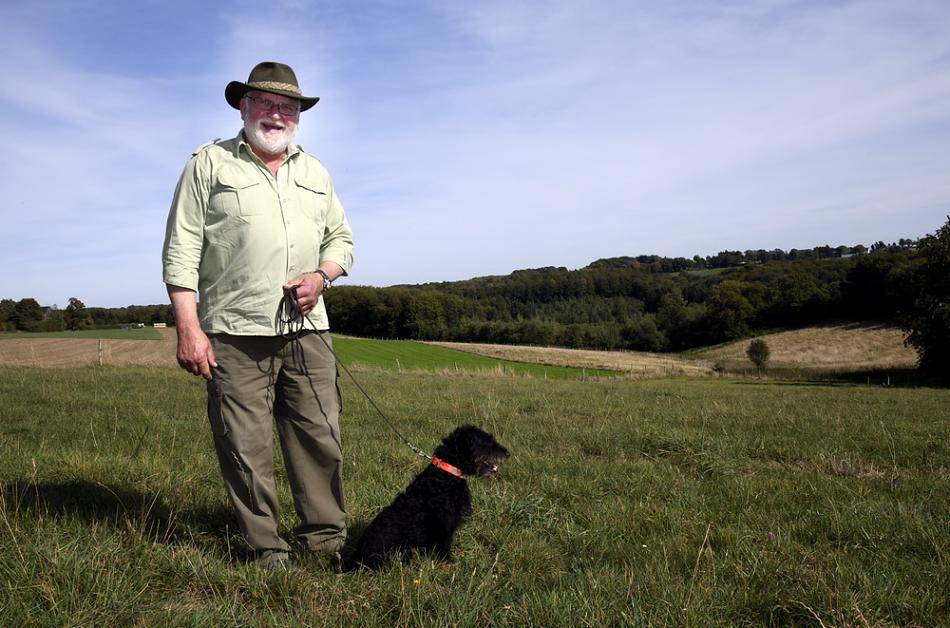 Stadt macht Jagd auf Wildschweine