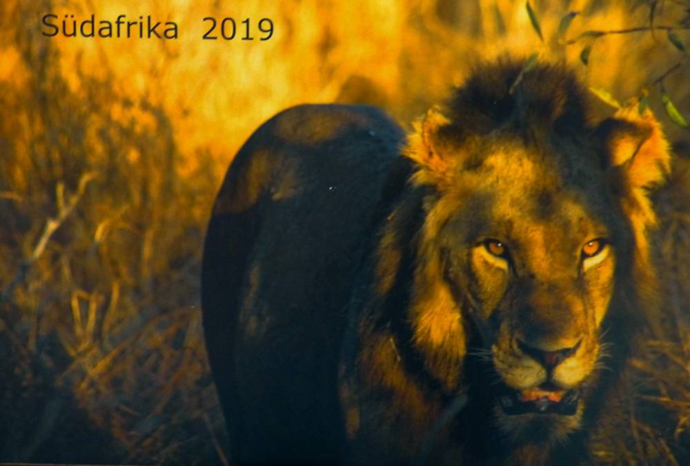  Das Titelbild des Kalenders. 