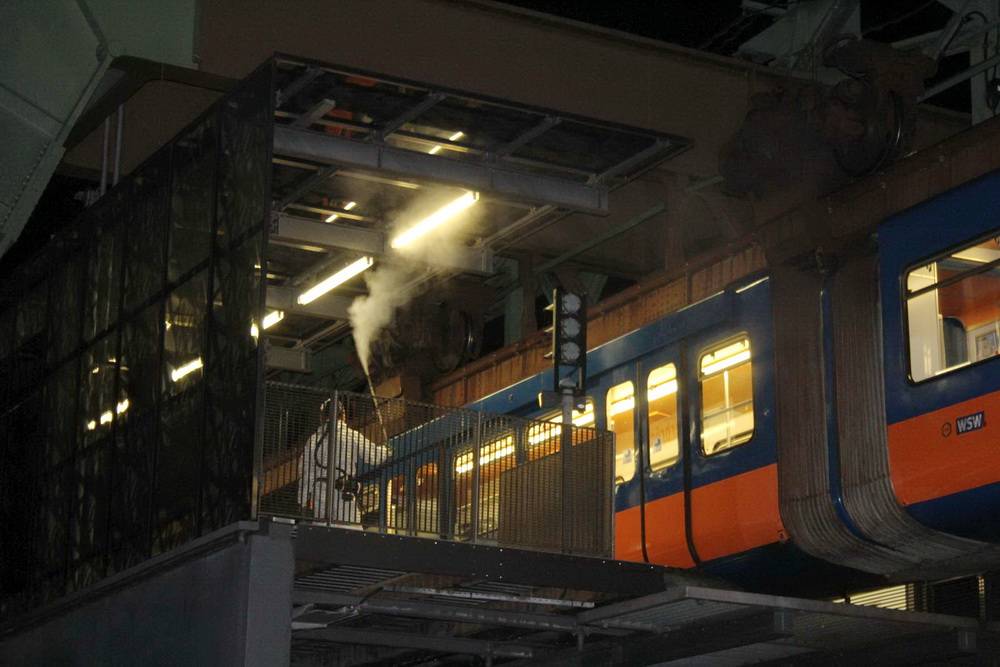 Einsatz gegen ungewollte "Bewohner".