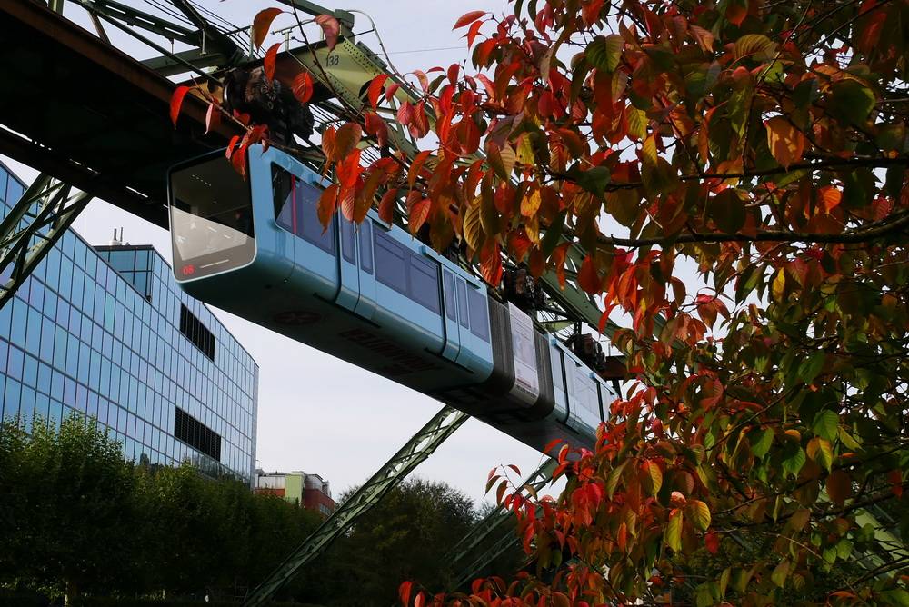  Die Blätter der Bäume haben sich inzwischen verfärbt. 