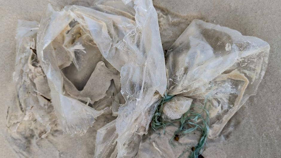 Sie sieht das Plastik den Wellen