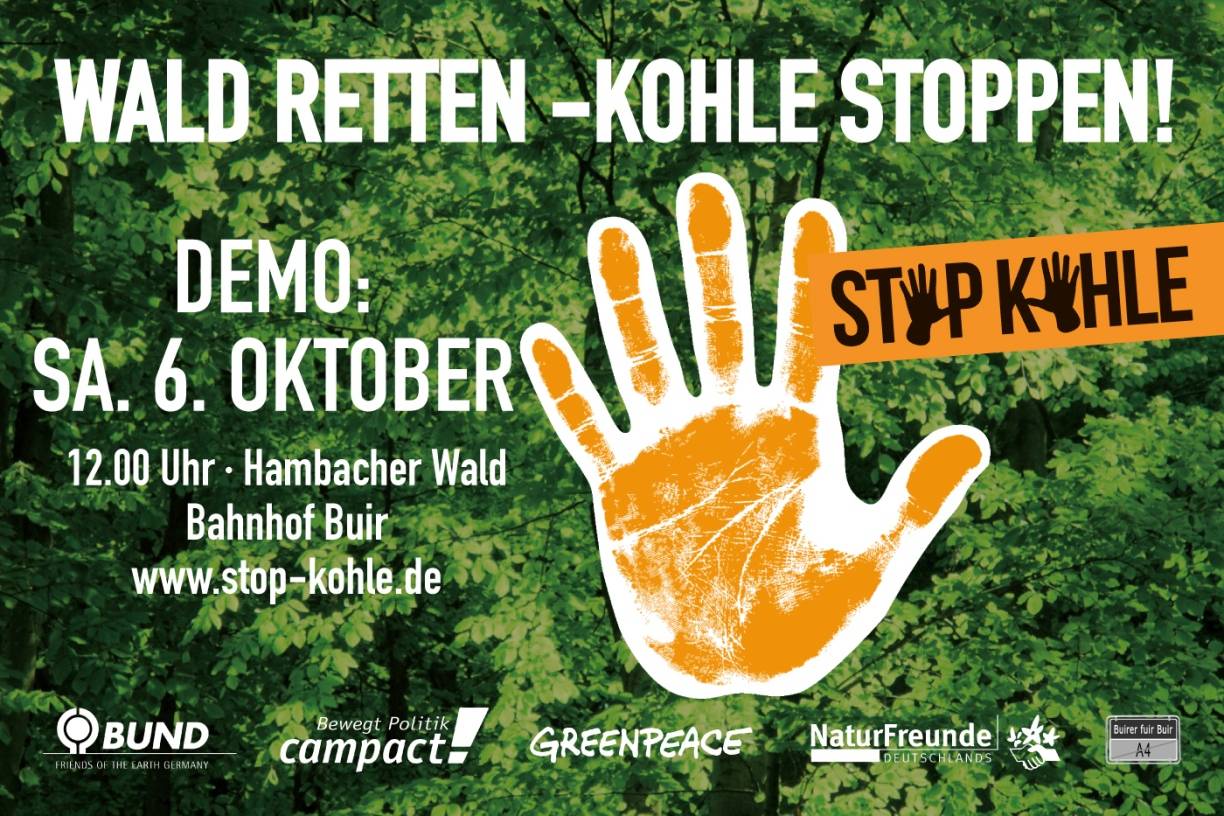 Großdemo am 6. Oktober 2018: Grüne organisieren Bus zum Hambacher Forst
