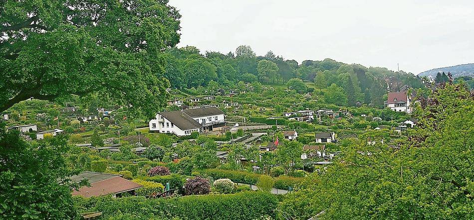  Eine Oase der Ruhe oder Spielplatz? 