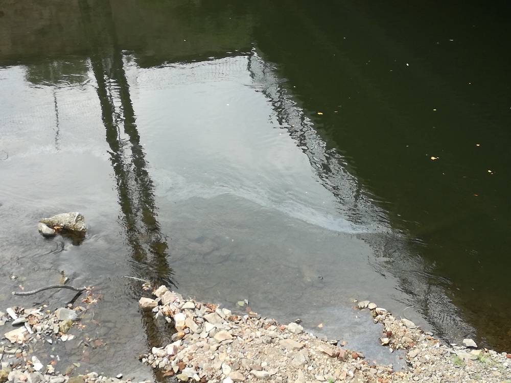  Der Ölflim war deutlich zu sehen. 