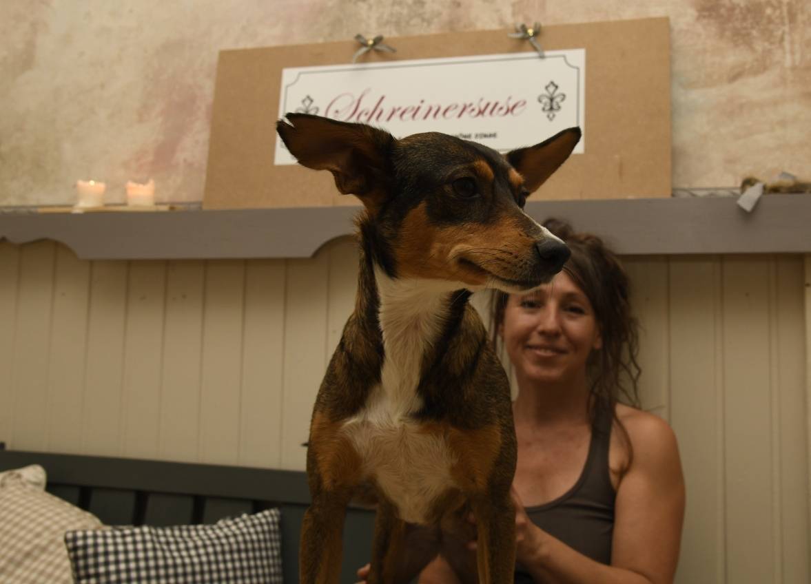 In einem Laden voller "Stöckchen"