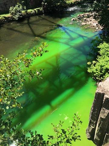  Fast wie im Amazonas ... 