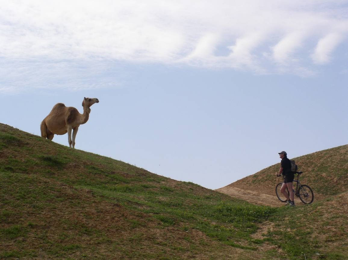  Ein besonderes Mensch-Tier-Treffen 2005 in Isreal.  