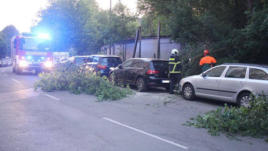 Baum in Barmen umgekippt