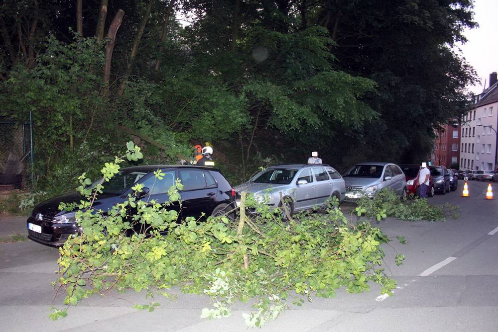 Zwei Pkw von Baum getroffen