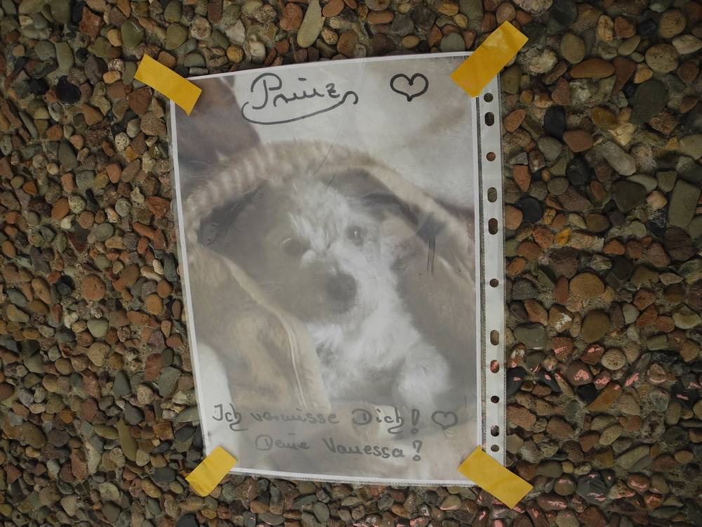 "Im Maul hin und her geschüttelt"