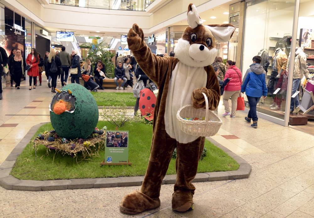  Daumen hoch vom Osterhasen! 