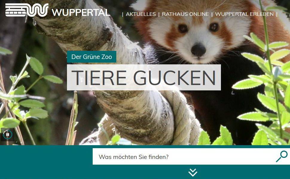  Screenshot der Homepage - links oben der Wupperwurm. 