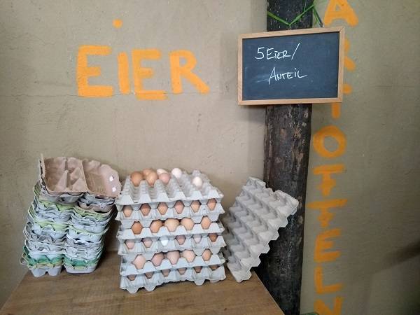  Fünf Eier pro Anteil dürfen die Abholer an diesem Donnerstag in ihre Eierkartons stecken.  